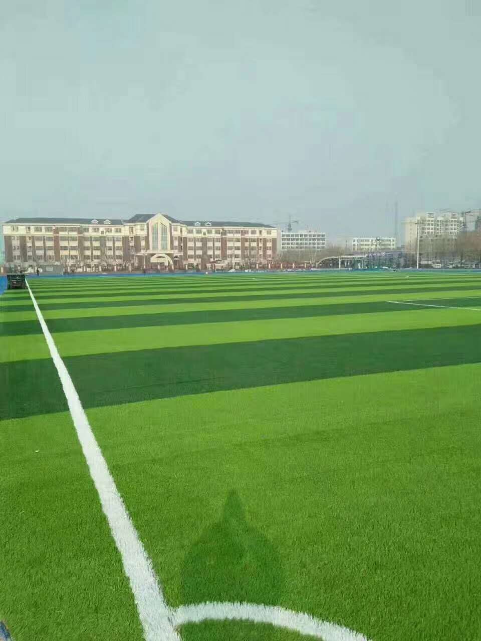 抚州市彩色epdm颗粒仿真草坪 - 一站式服务